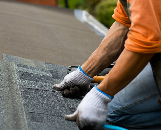 Best New Roof Installation  in Reedsville, WI