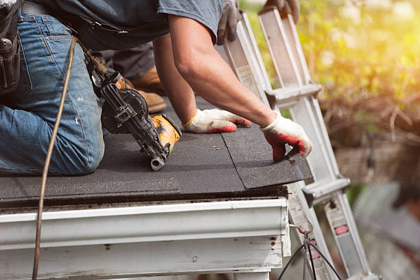 Best Roof Gutter Cleaning  in Reedsville, WI